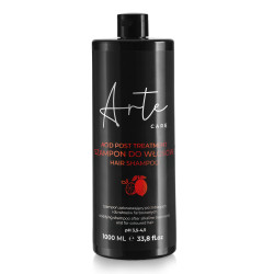 ARTE CARE ACID – Regenerační šampon po barvení vlasů 1 l